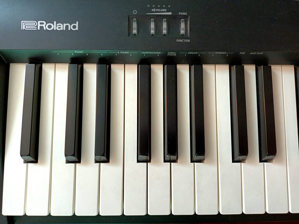 Roland FP-10 details